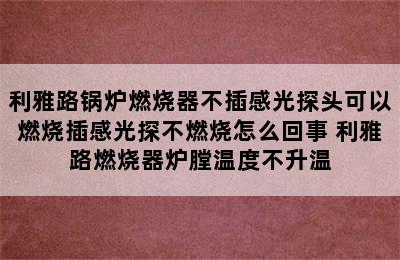 利雅路锅炉燃烧器不插感光探头可以燃烧插感光探不燃烧怎么回事 利雅路燃烧器炉膛温度不升温